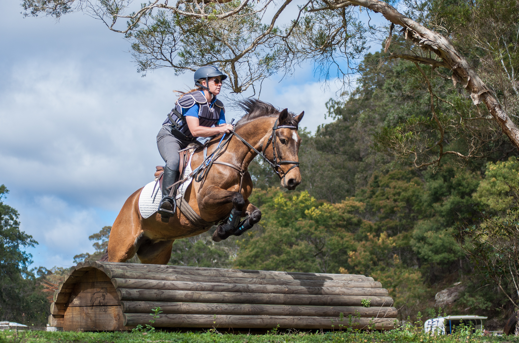 Horse Riding Horse Riding