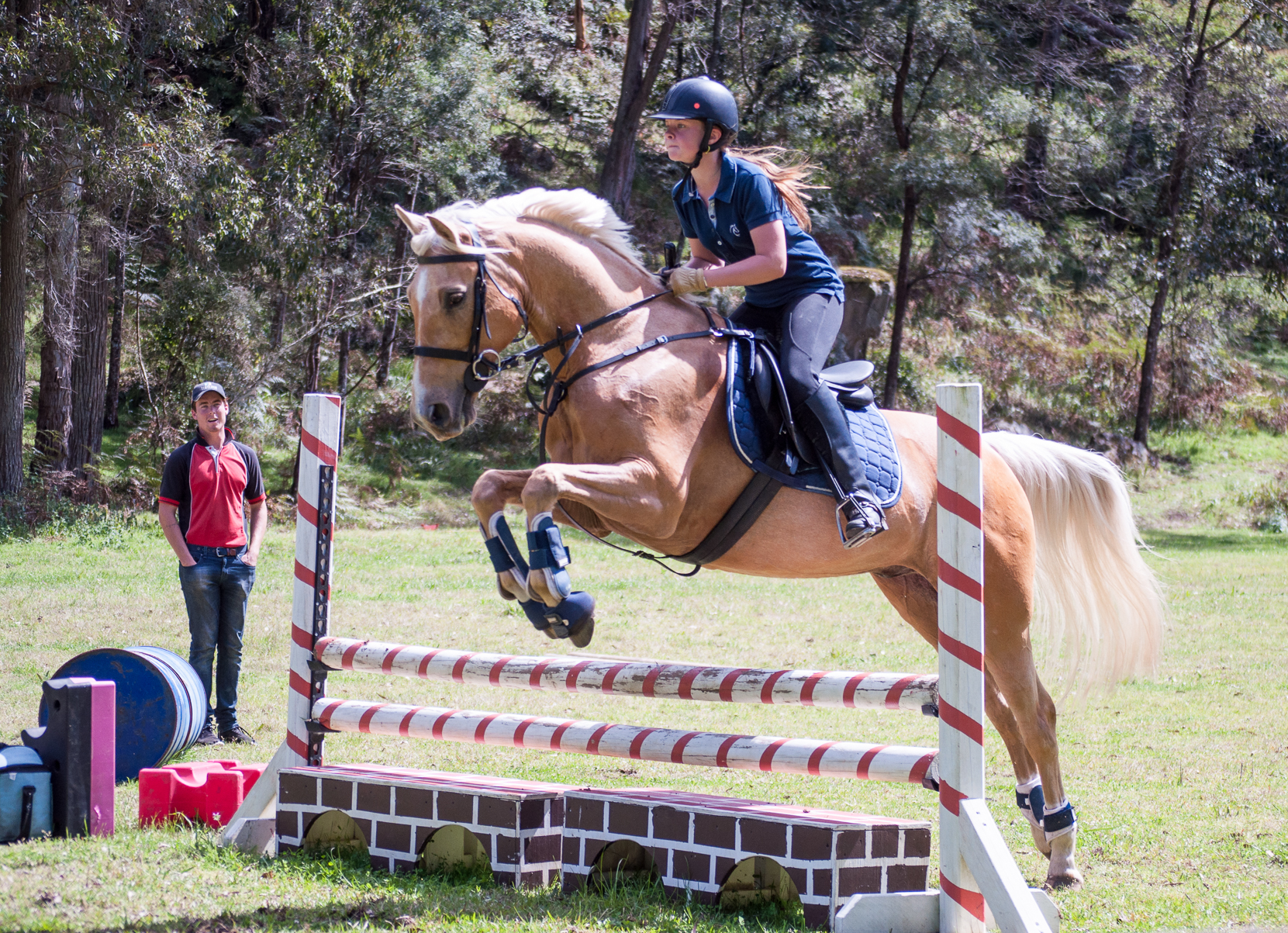 Horse Riding Horse Riding