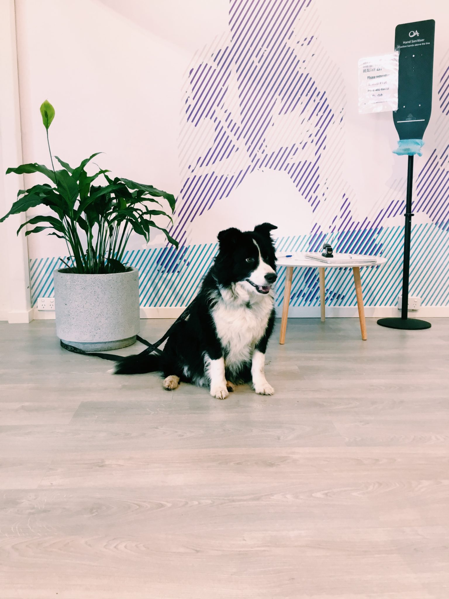 41a2 B4A4802C 4DCA 4F0C BC29 B1B07D198337 1536x2048