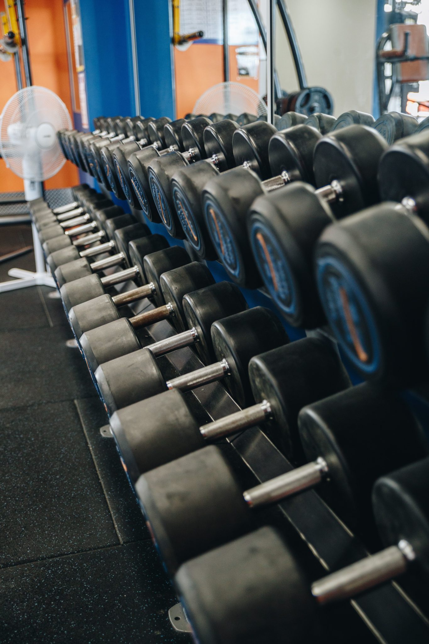 9EF20336 C207 46B5 8E21 020C16E1B309 1365x2048