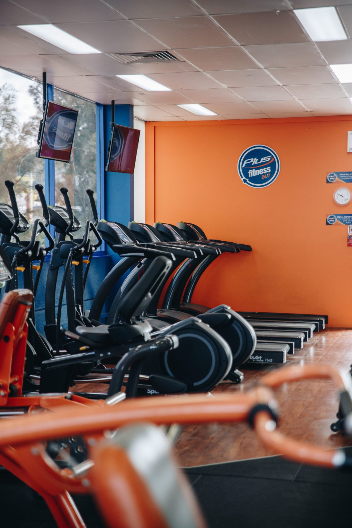 FEC52184 CA63 41A4 A1F3 800B9F3AAFE2 1365x2048