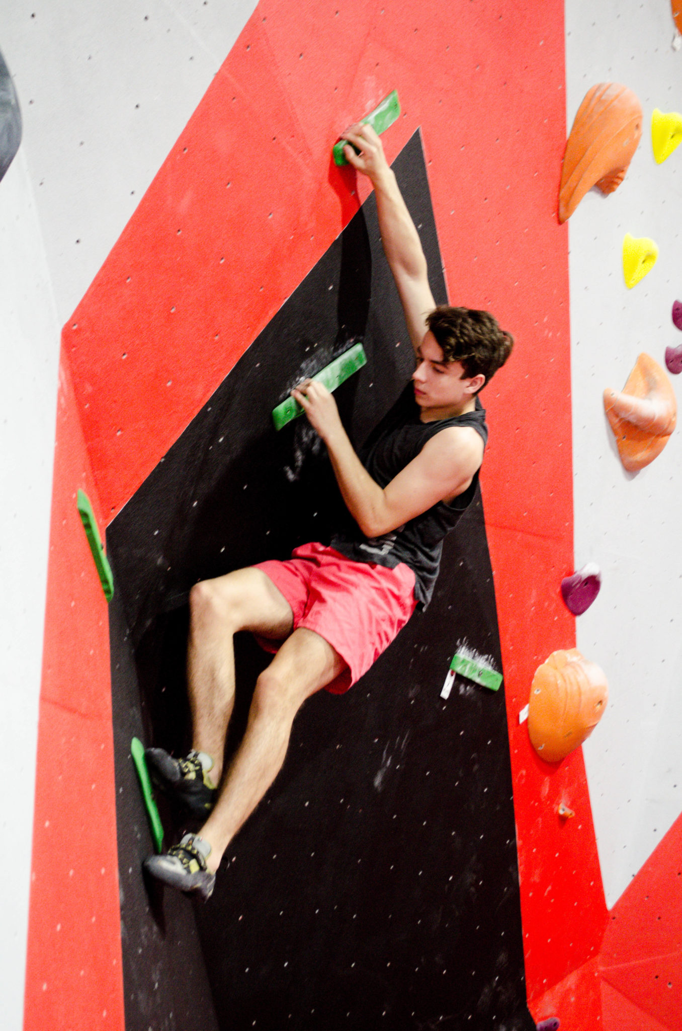 Waggy 194 1 1356x2048