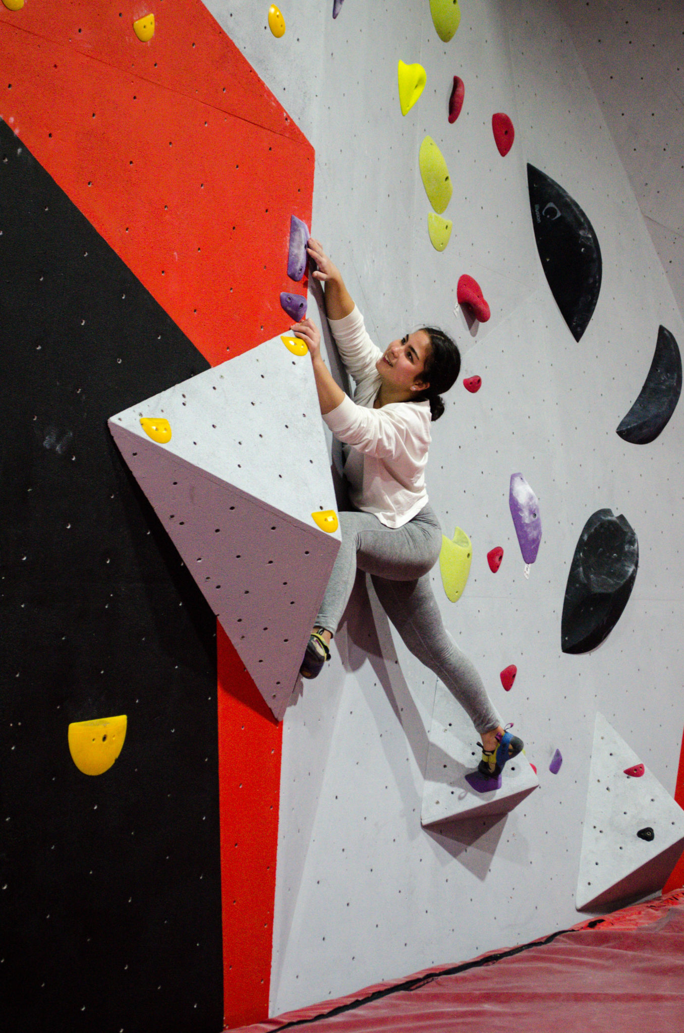 Waggy 242 1 1356x2048