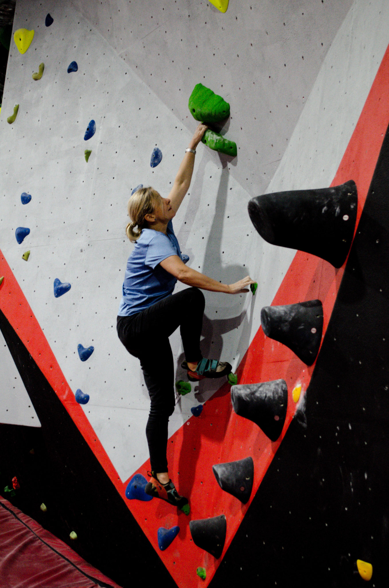 Waggy 252 1 1356x2048