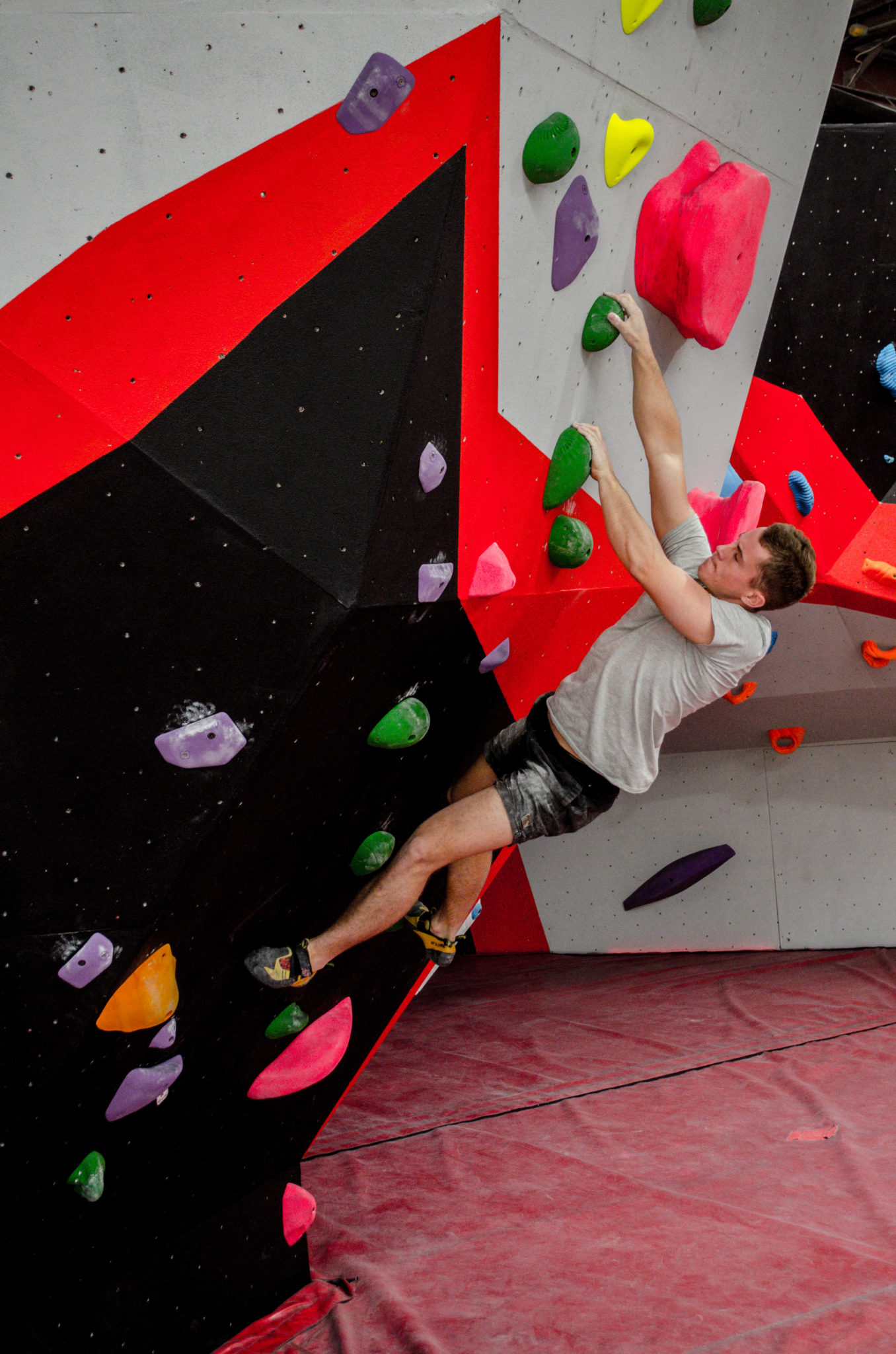 Waggy 30 2 1356x2048