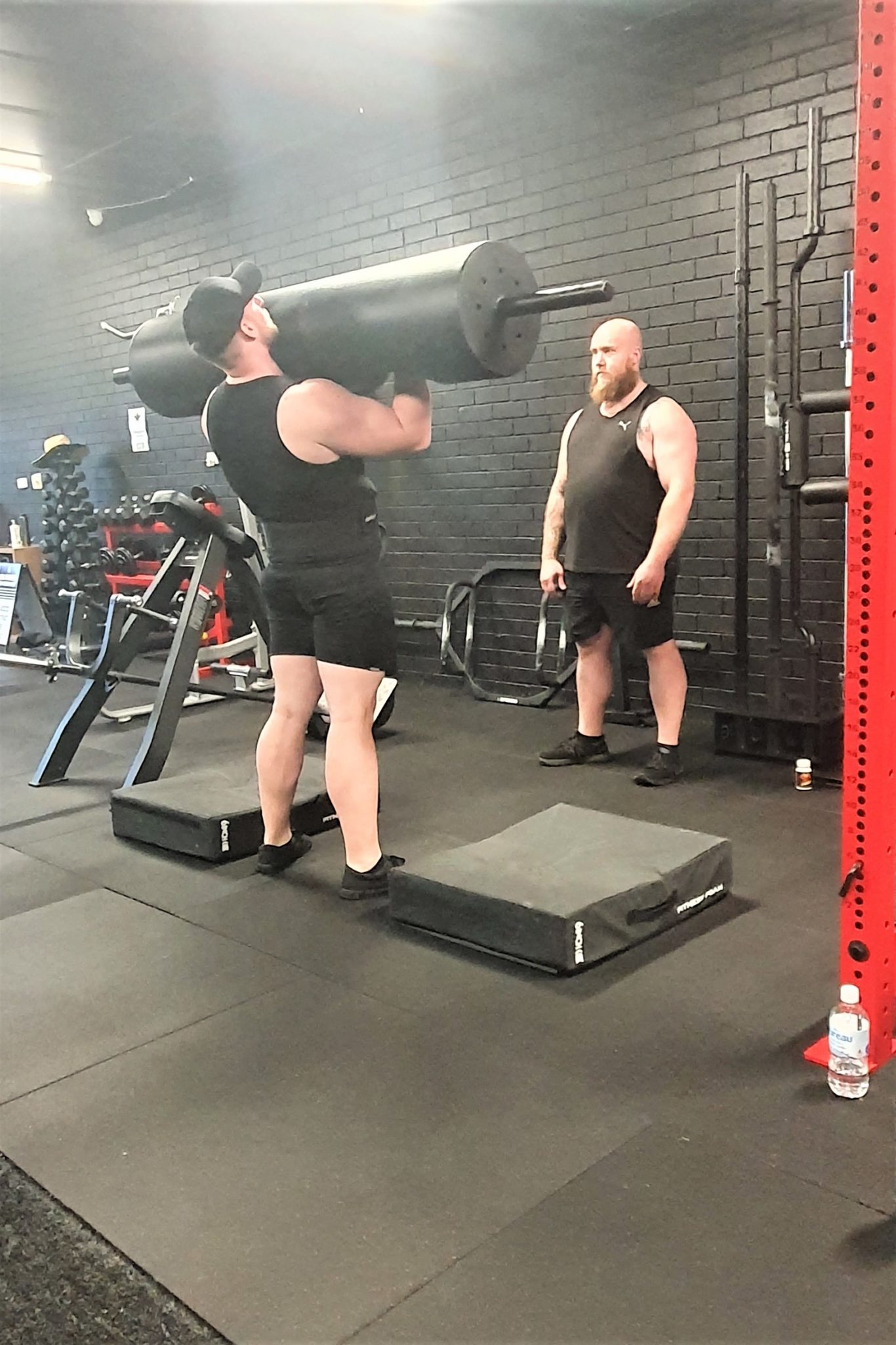 BearTObyLog 1366x2048