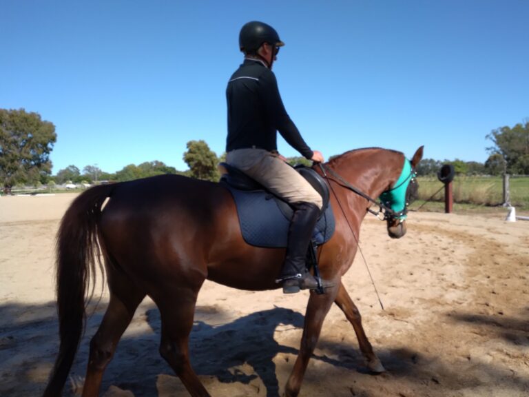 285566883 3075993545950785 6881610888889561643 n 768x576