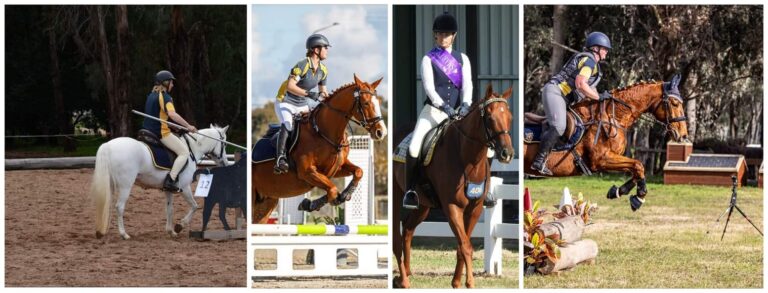 292035437 3260858507524517 6073793282505711341 n 768x293