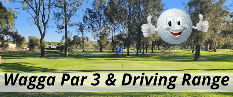 431018005 401063582674015 9069886183484619548 n 1 768x322