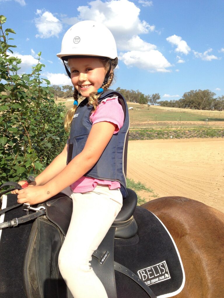 belisi equine park 768x1024